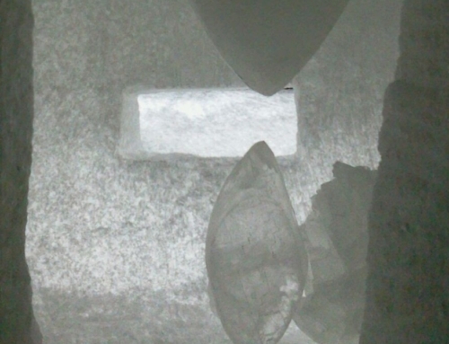 Anima Salis